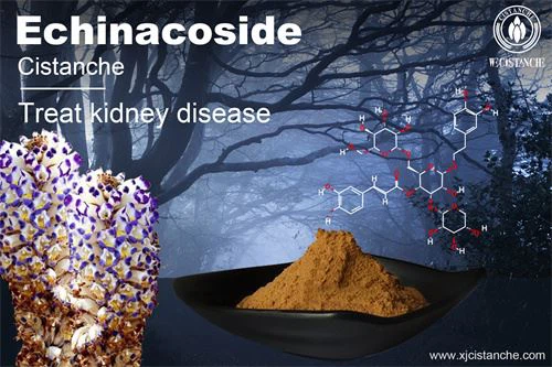 to relieve the chronic kidney disease to relieve the chronic kidney disease