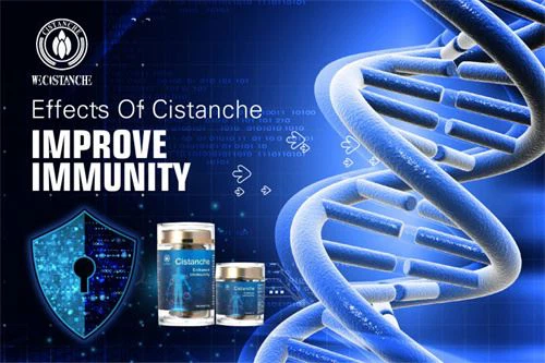 improve immunity11 improve immunity11