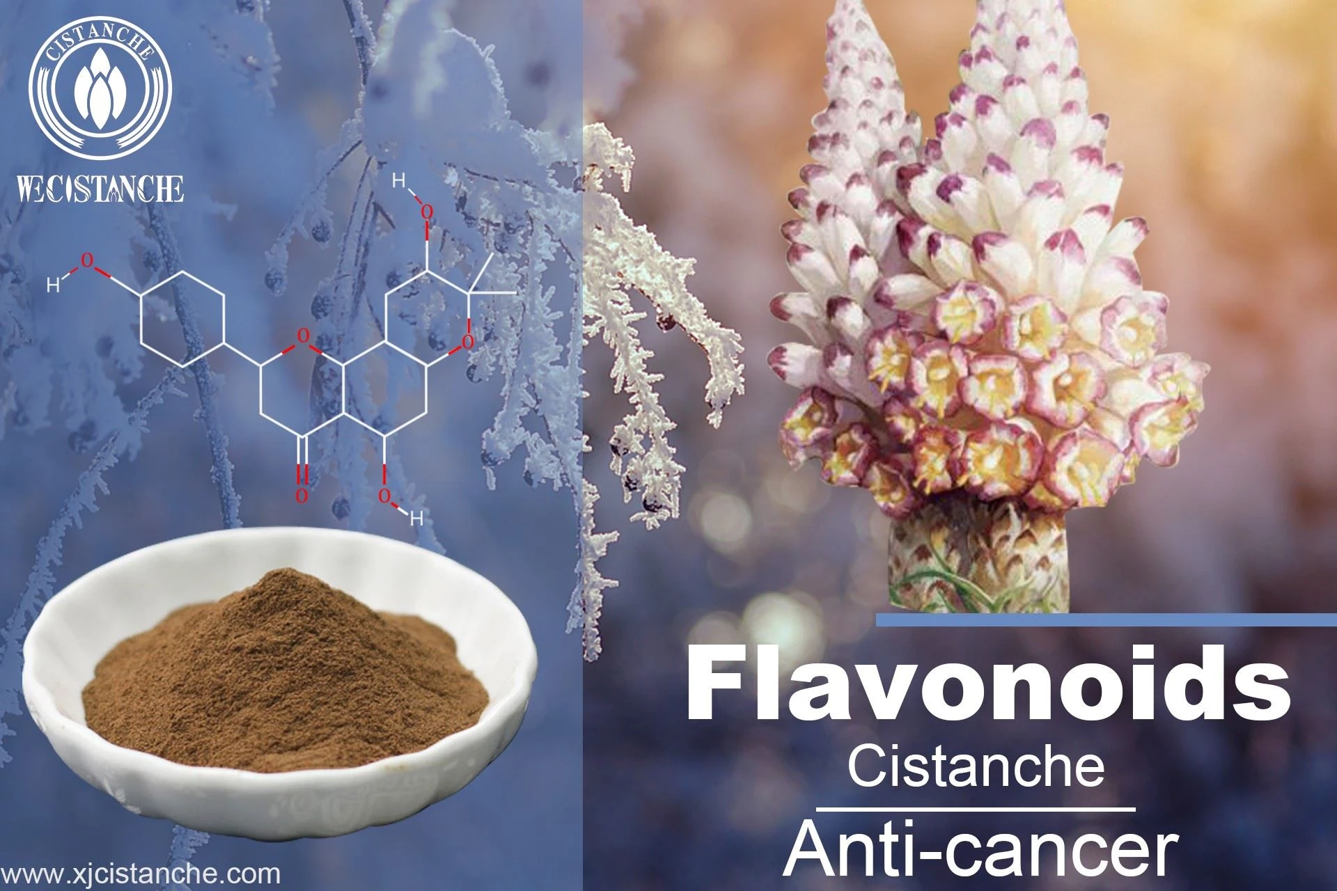 flavonoids flavonoids