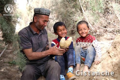 4e6a02dd70d76cf9f4cf96c9e1d1efd 4e6a02dd70d76cf9f4cf96c9e1d1efd