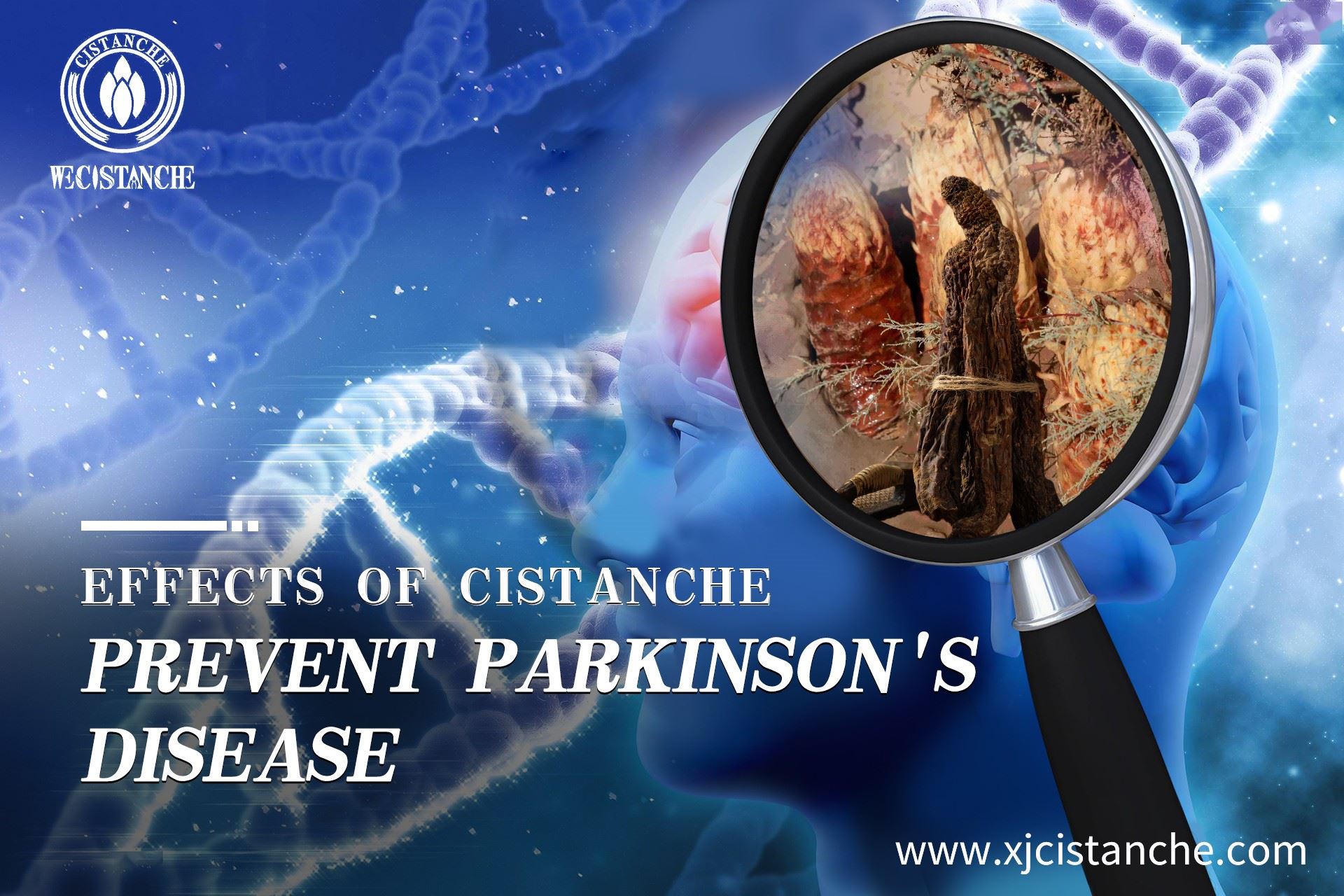 the way to prevent parkinson's disease the way to prevent parkinson's disease