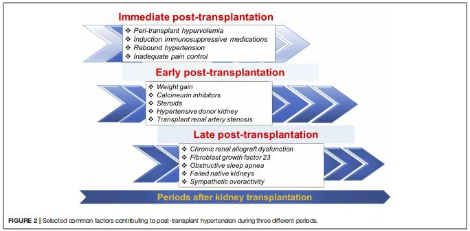 FIGURE 2 | Selected common factors contributing to post-transplant hypertension during three different periods FIGURE 2 | Selected common factors contributing to post-transplant hypertension during three different periods