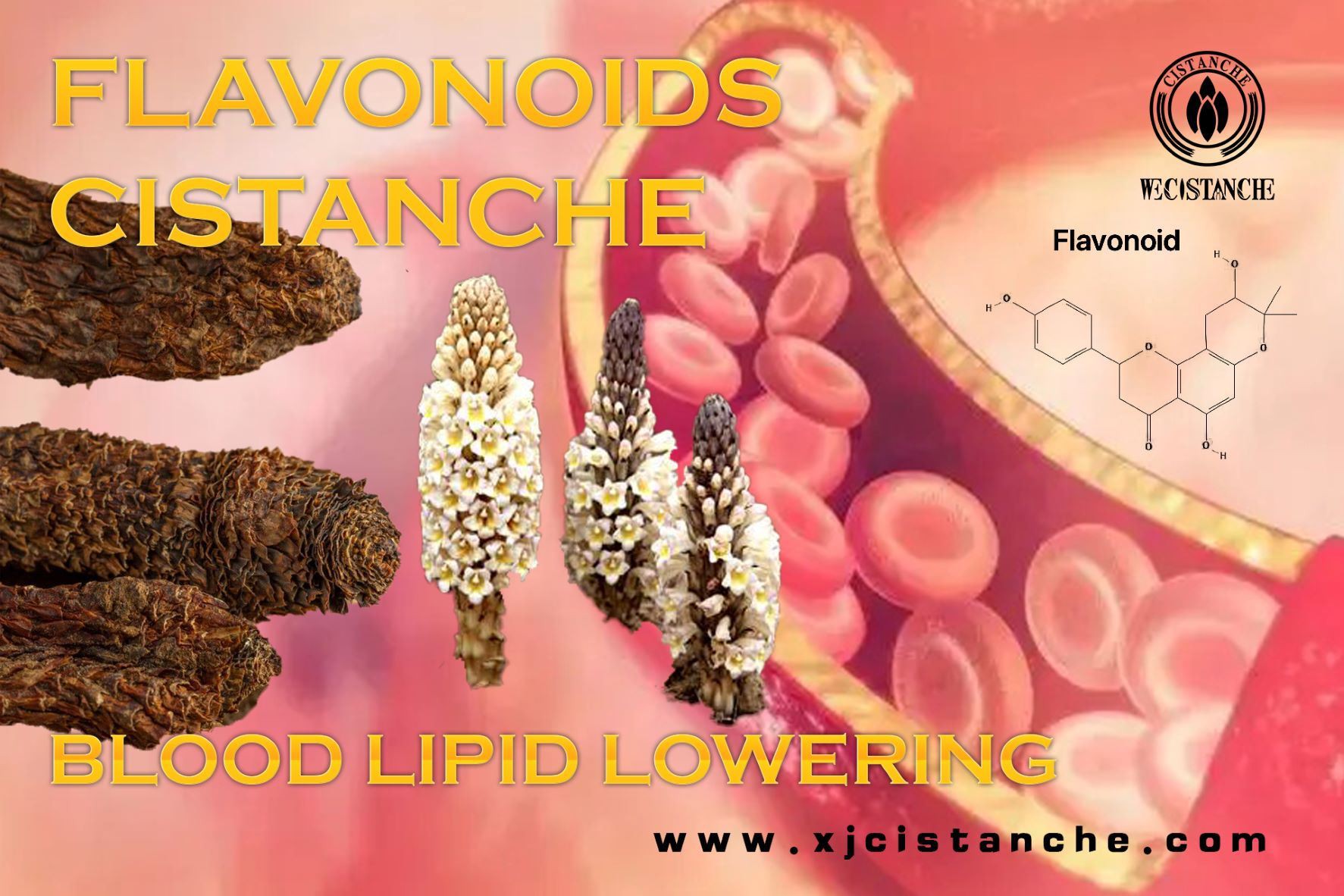 flavonoids effect on blood lipid