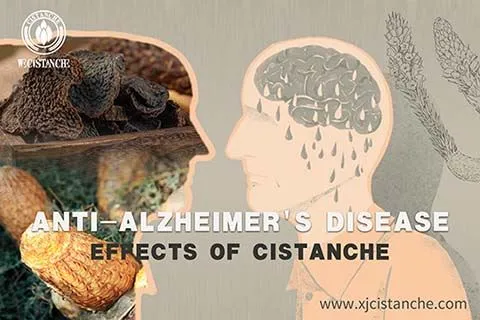 Anti Alzheimer's disease (3) Anti Alzheimer's disease (3)