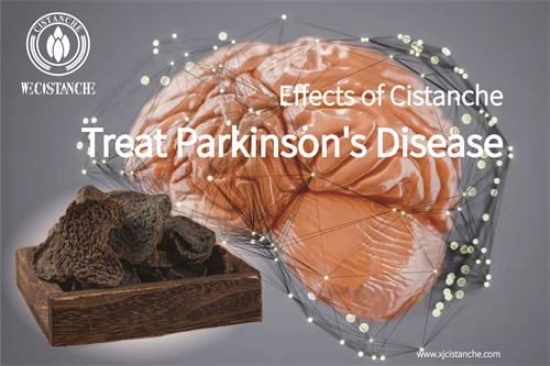 Cistanche treats Parkinson's disease