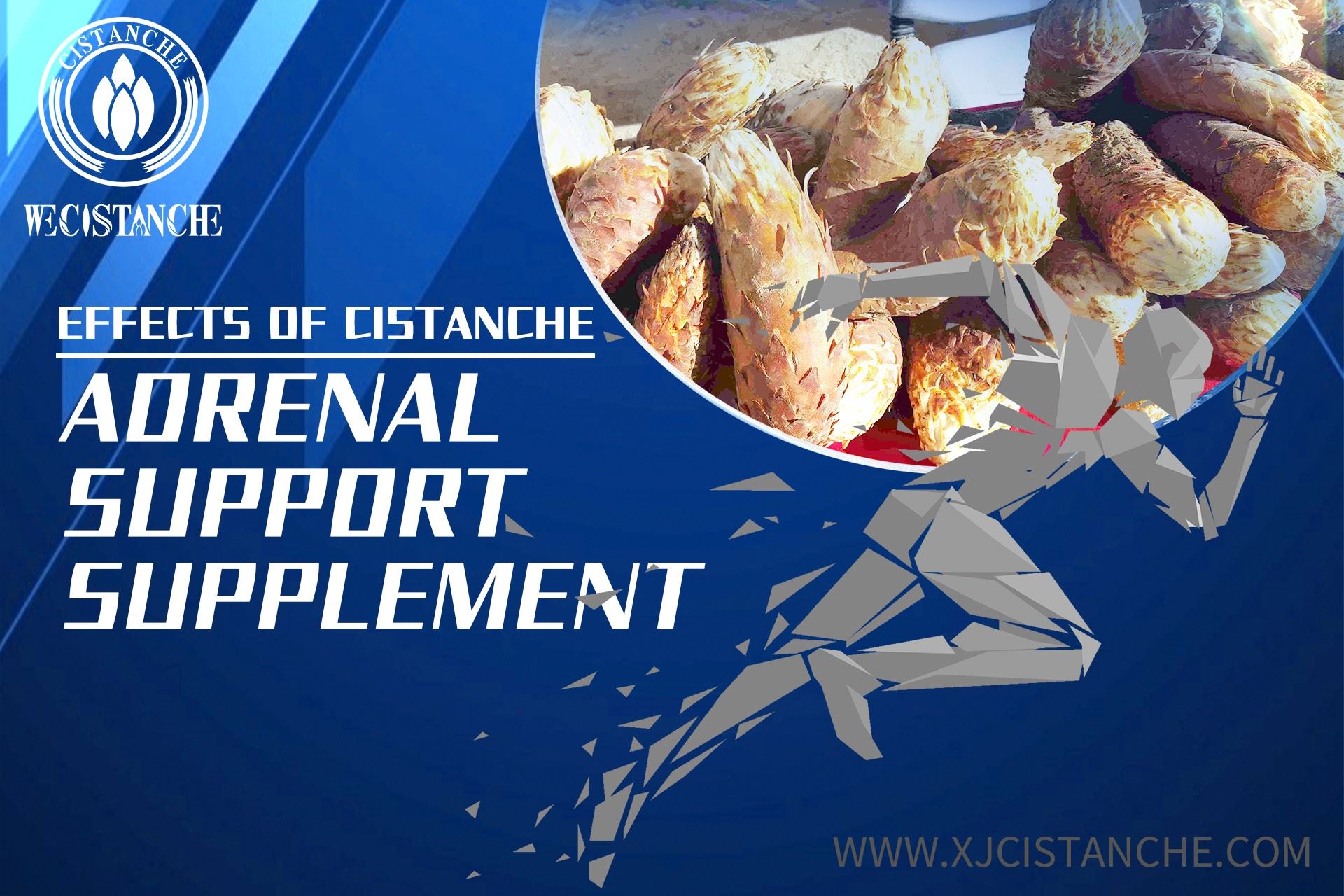 the effect of Cistacne the effect of Cistacne