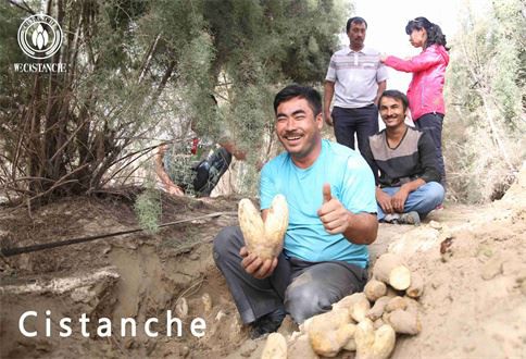 b4804064dccd3480f81576e33ab08f8