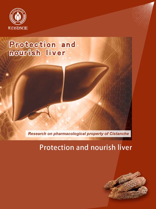 liver protection liver protection