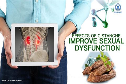 effects of cistanche：improve sexual dysfunction3