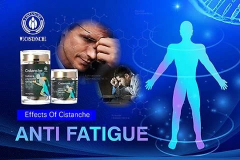 Cistanche antifatigue function Cistanche antifatigue function
