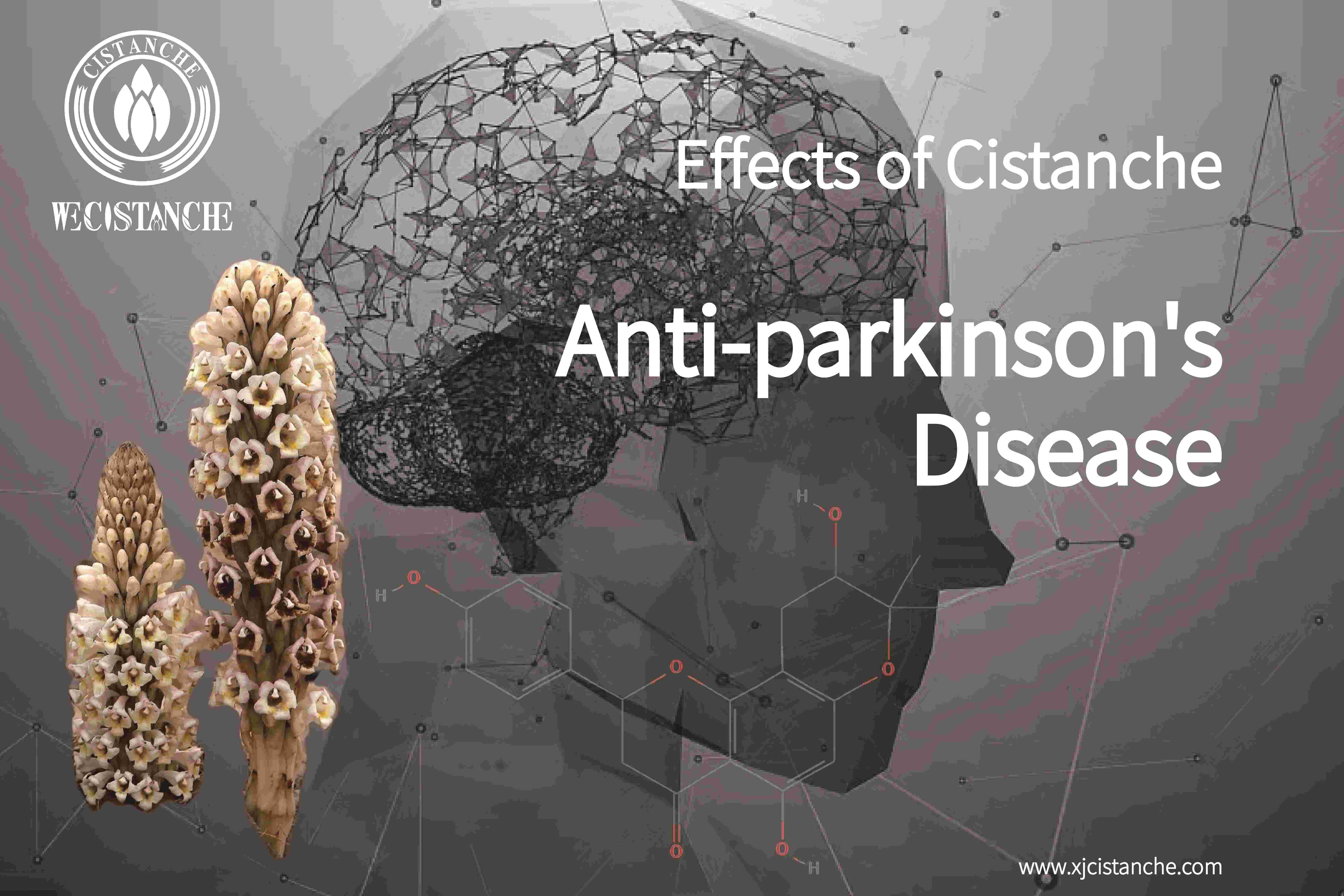 best herb for parkinson's disease