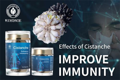 Cistanche supplement