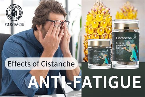 Cistanche supplement