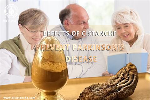 Effects of Cistanche anti Parkinson’s Disease (13) Effects of Cistanche anti Parkinson’s Disease (13)