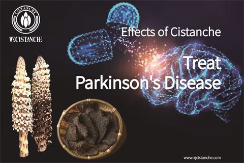 Effects of Cistanche anti Parkinson’s Disease (4) Effects of Cistanche anti Parkinson’s Disease (4)