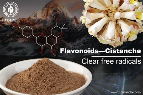 BENEFIT OF CISTANCHE