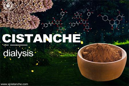 Cistanche-kidney dialysis-3(21) Cistanche-kidney dialysis-3(21)