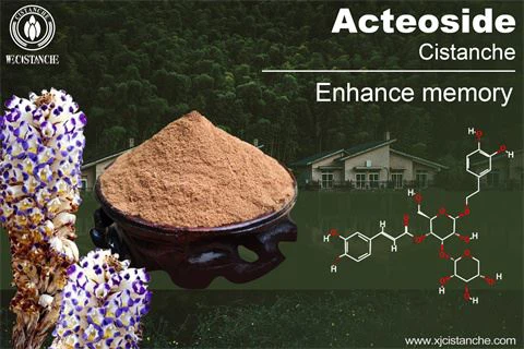 EFFECTS OF CISTANCHE