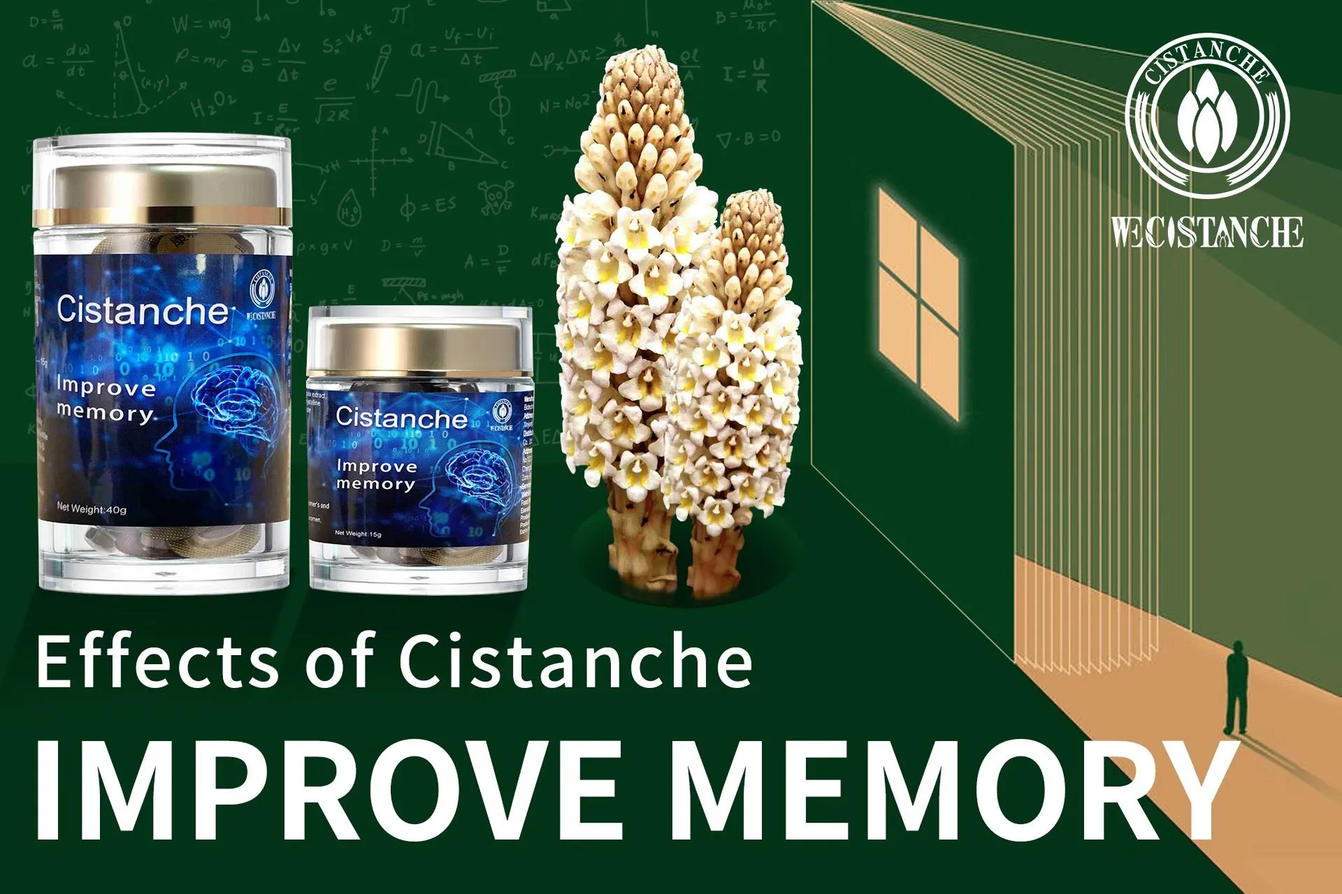 natural herb for memory