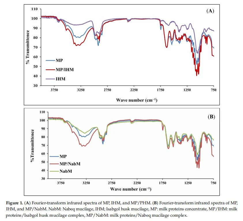  (A) Fourier-transform infrared spectra of MP, IHM, and MP/PHM. (B) Fourier-transform infrared spectra of MP, IHM, and MP/NabM. NabM: Nabeq mucilage, IHM; Isabgol husk mucilage, MP: milk proteins concentrate, MP/IHM: milk proteins/Isabgol husk mucilage complex, MP/NabM: milk proteins/Nabeq mucilage complex