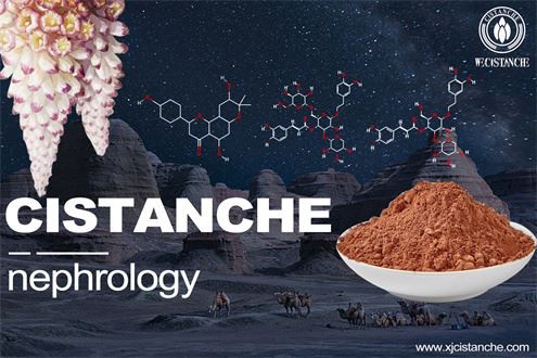 effects of cistanche effects of cistanche