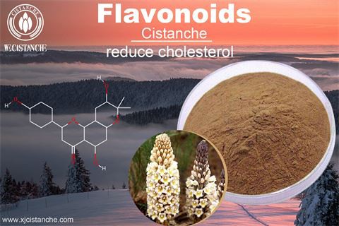 benefit of cistanche