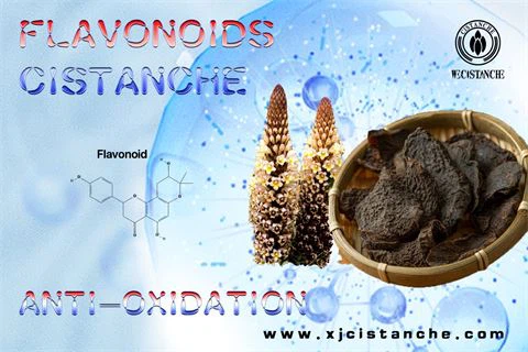 1flavonoids antioxidant 1flavonoids antioxidant
