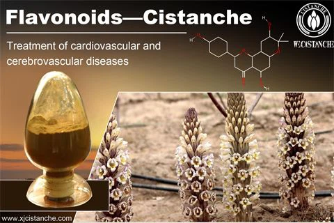 flavonoids cardiovascular cerebrovasular flavonoids cardiovascular cerebrovasular