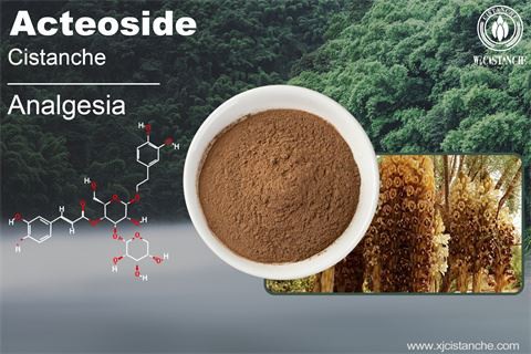 EFFECTS OF CISTANCHE