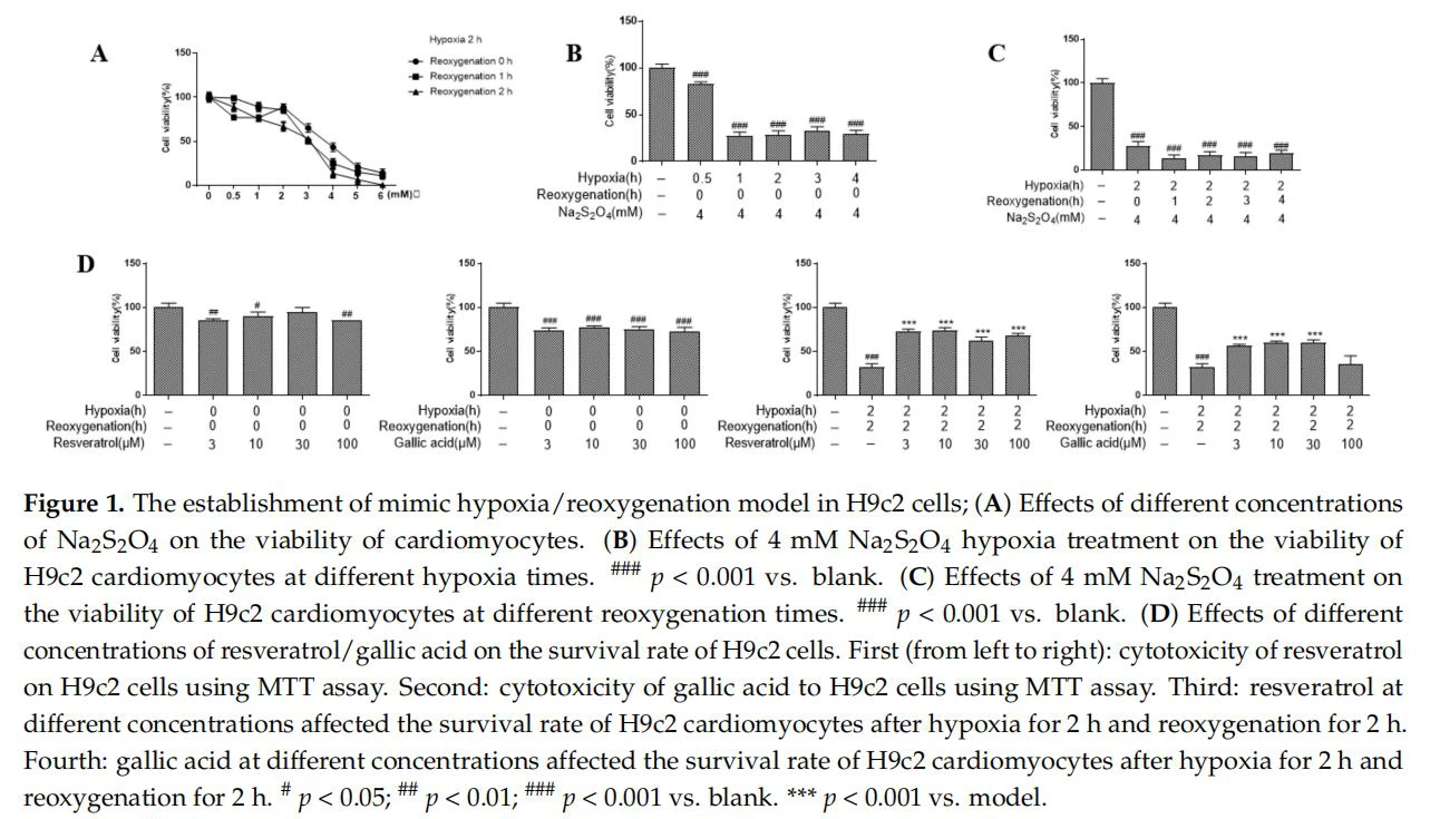 The establishment of mimic hypoxia/reoxygenation model in H9c2 cells; The establishment of mimic hypoxia/reoxygenation model in H9c2 cells;