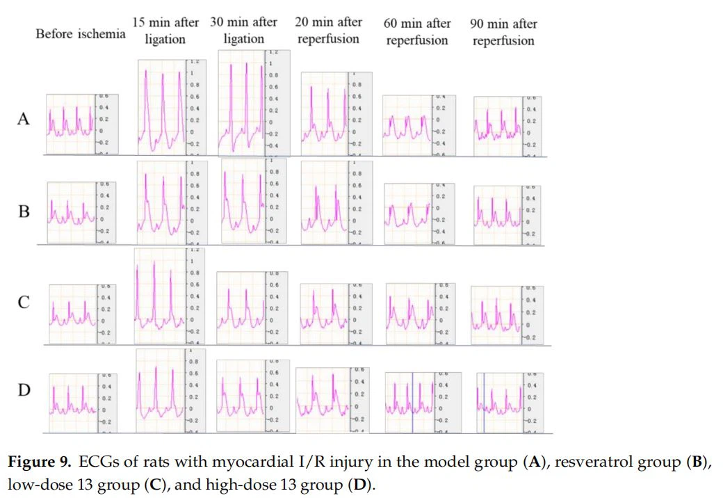 ECGs of rats with myocardial I/R injury in the model group (A), resveratrol group (B), low-dose 13 group (C), and high-dose 13 group (D) ECGs of rats with myocardial I/R injury in the model group (A), resveratrol group (B), low-dose 13 group (C), and high-dose 13 group (D)