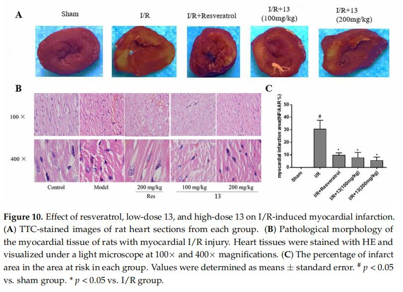 Effect of resveratrol, low-dose 13, and high-dose 13 on I/R-induced myocardial infarction. (A) TTC-stained images of rat heart sections from each group. (B) Pathological morphology of the myocardial tissue of rats with myocardial I/R injury. Heart tissues were stained with HE and visualized under a light microscope at 100× and 400× magnifications. (C) The percentage of infarct area in the area at risk in each group. Values were determined as means ± standard error. # p < 0.05 vs. sham group. * p < 0.05 vs. I/R group Effect of resveratrol, low-dose 13, and high-dose 13 on I/R-induced myocardial infarction. (A) TTC-stained images of rat heart sections from each group. (B) Pathological morphology of the myocardial tissue of rats with myocardial I/R injury. Heart tissues were stained with HE and visualized under a light microscope at 100× and 400× magnifications. (C) The percentage of infarct area in the area at risk in each group. Values were determined as means ± standard error. # p < 0.05 vs. sham group. * p < 0.05 vs. I/R group