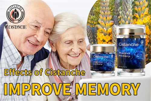 effects of cistanche effects of cistanche