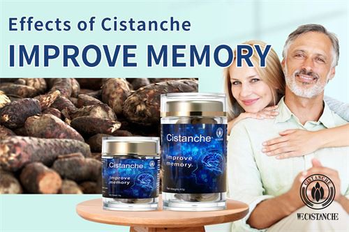 Cistanche can improve memory