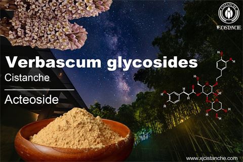 benefit of cistanche