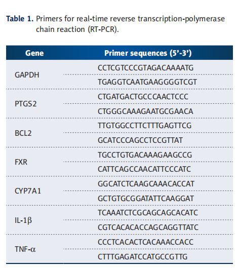 Primers for real-time reverse transcription-polymerase  chain reaction (RT-PCR).