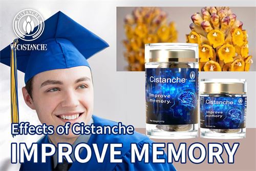 cistanche capsules:improve memory cistanche capsules:improve memory