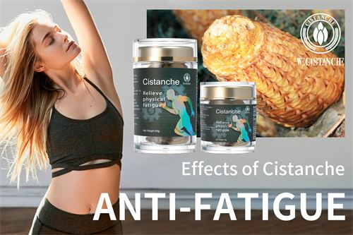 cistanche supplement: anti-fatigue cistanche supplement: anti-fatigue