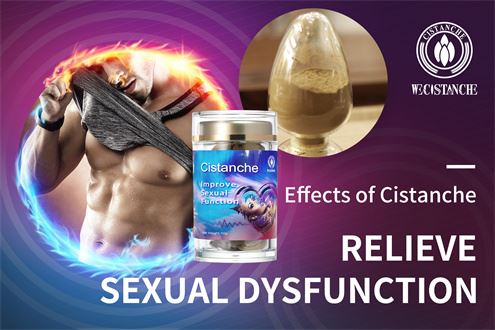 cistanche tubolosa health benefits cistanche tubolosa health benefits