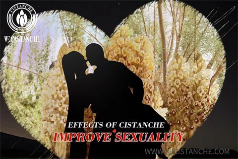 effects of cistanche:improve sexuality2.jpg effects of cistanche:improve sexuality2.jpg