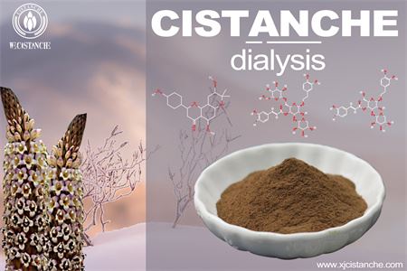 Cistanche-kidney dialysis-1(19) Cistanche-kidney dialysis-1(19)