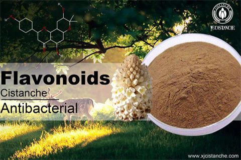flavonoids antibacterial flavonoids antibacterial