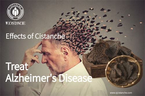 Cistanche as a dietary supplement may prevent Alzheimer's disease Cistanche as a dietary supplement may prevent Alzheimer's disease