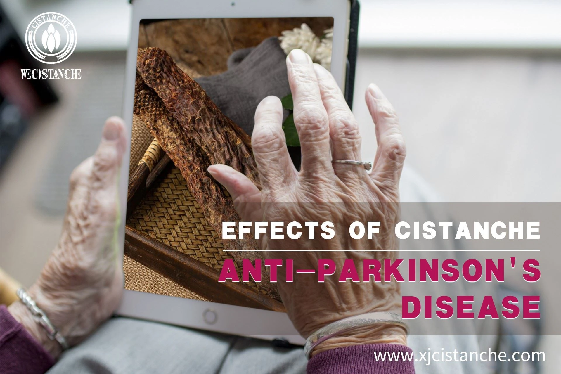 the best herb for parkinson's disease