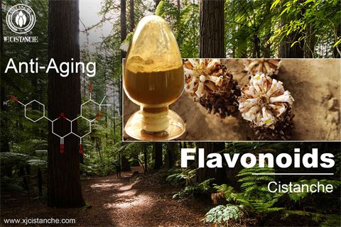 flavonoids supplements benefit anti aging flavonoids supplements benefit anti aging