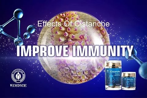 Traditional Chinese Medicine cistanche is good for improving immunity Traditional Chinese Medicine cistanche is good for improving immunity