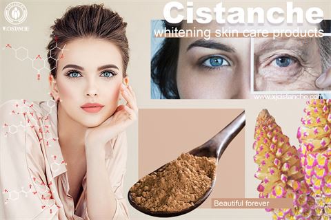 cistanche tubulosa powder improve skin whitening (17)