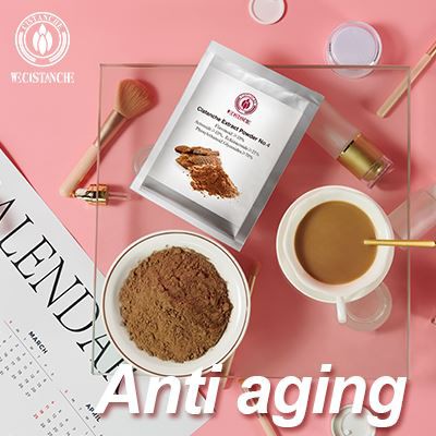 cistanche for sale and the effect on anti-aging of cistanche