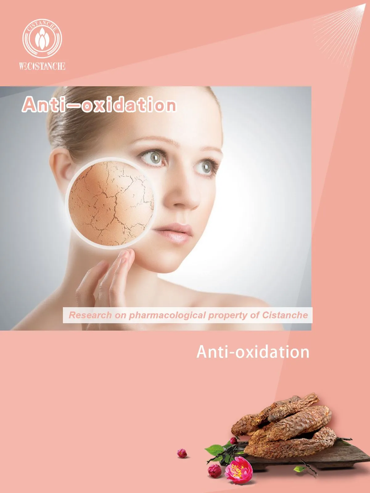 cistanche organic dual extract help anti-oxidation