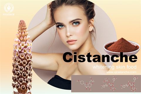 cistanche nedir improve skin whitening (29) cistanche nedir improve skin whitening (29)